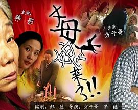 中文字幕在线精品视频入口一区